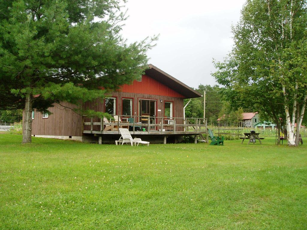 Bondi Village Cottage Resort Lake of Bays 外观 照片