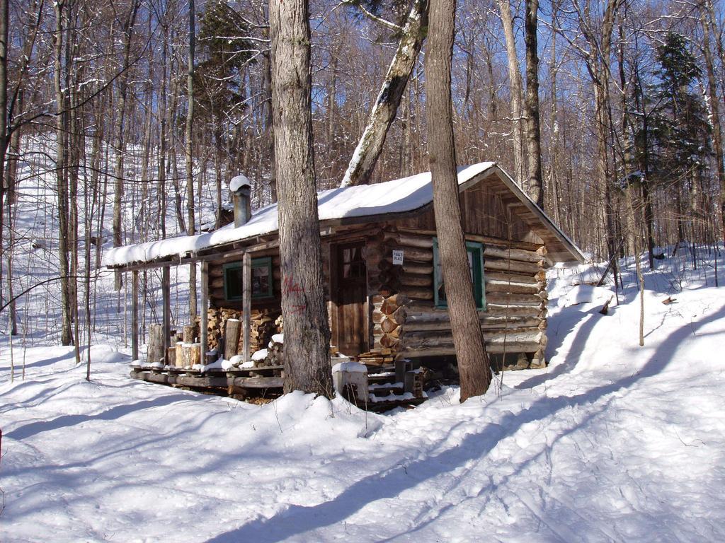 Bondi Village Cottage Resort Lake of Bays 外观 照片